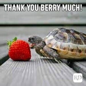 Meet your Posher, Mitch